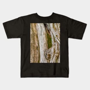 The bark of old trees Kids T-Shirt